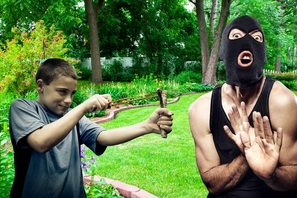 Eagle-eyed Michigan Boy Saves His Sister Using Slingshot