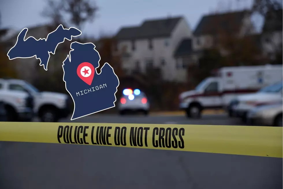 Two Mother-Son Murder-Suicides Happen Within Days in Michigan