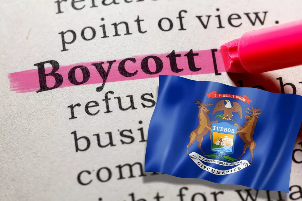 National Boycott Set for February 28, How Michiganders Can Participate