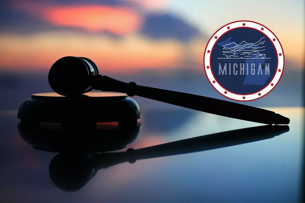 Michigan Lawmaker Targets Porn, Same-Sex Marriage Bans