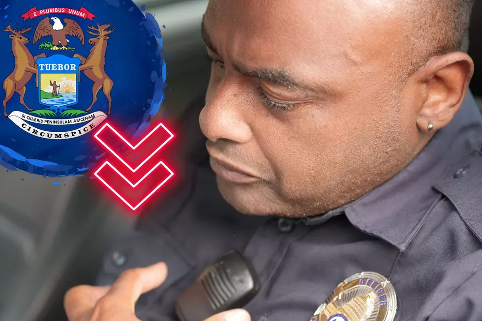 Michigan Listed as One of America’s Worst States for Cops