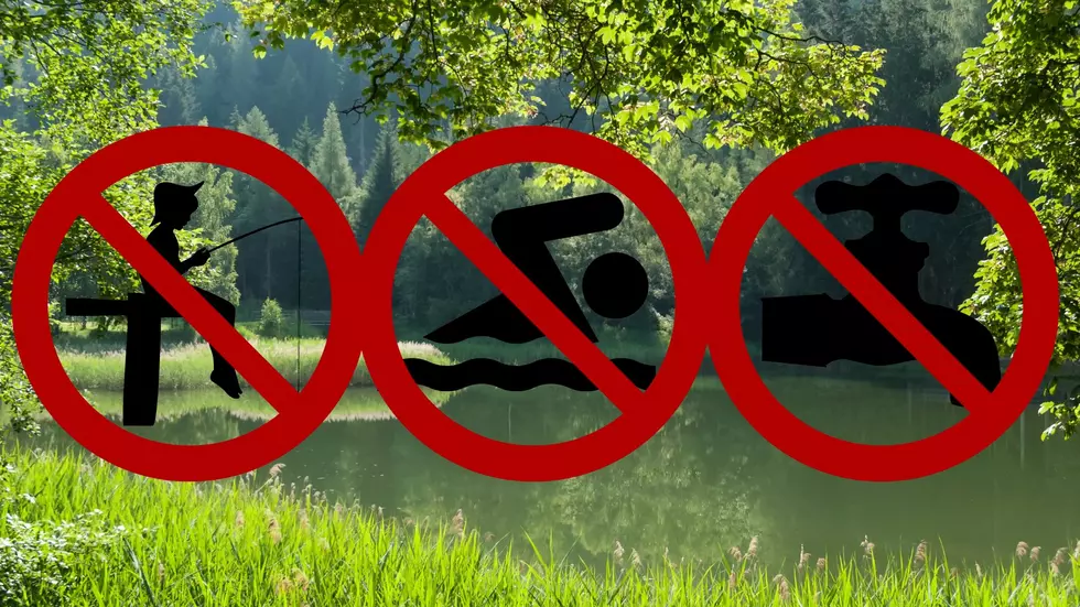 Toxic “Cancer-Causing” Chemical Found In Michigan Pond Downstream From Huron River Chemical Spill