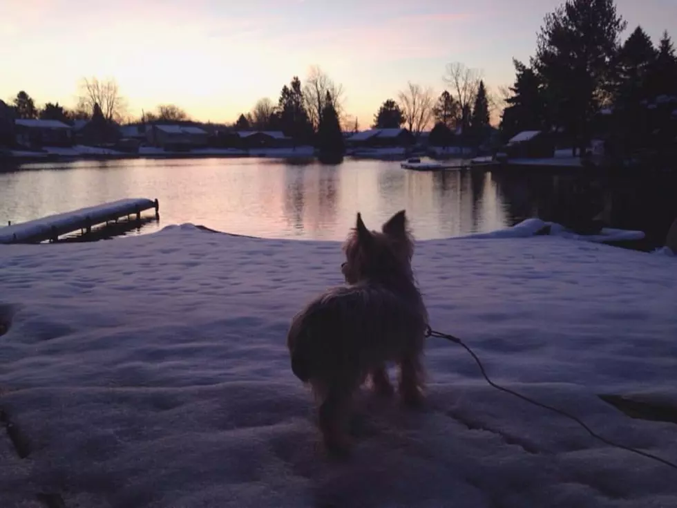 If Loving Winter Is Wrong, I Don’t Want To Be Right