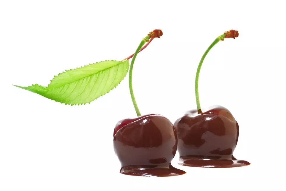 USDA to Buy 20 Million Dollars Worth of Michigan Cherries